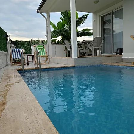 Lavender * 달라만