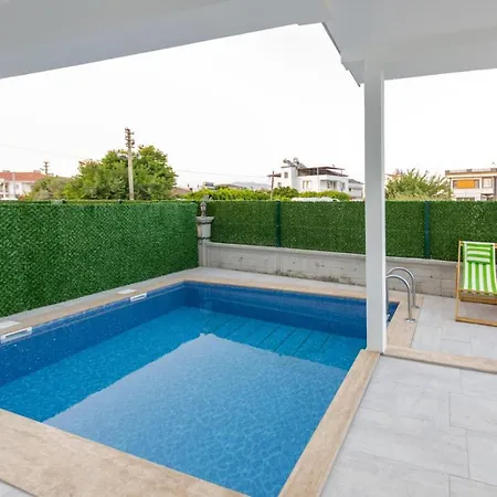 فيلة Lavender دالامان