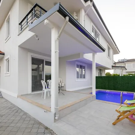 Lavender دالامان